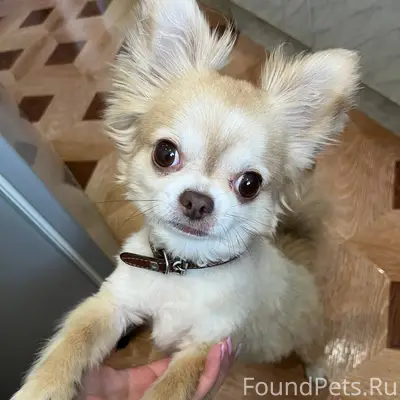 #Бгдпомоги SOS!!! Жители город...