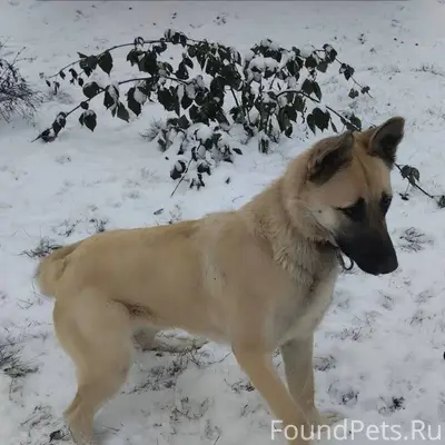 🆘🆘🆘🆘 Под Белорецком пропала со...