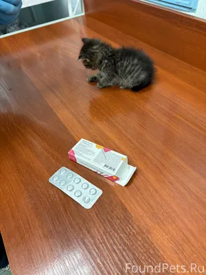 А это Мира ,была найдена ,когд...