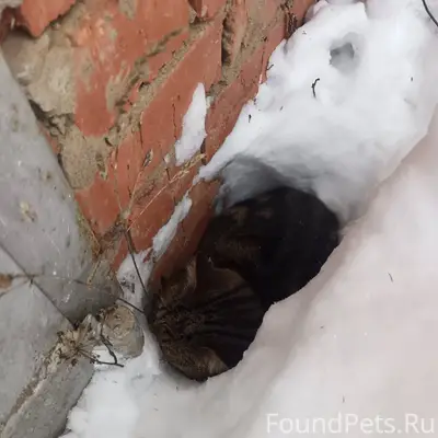 На Нефтеразведке около гаражей...