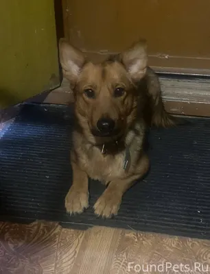 7 февраля на остановке у Алиас...