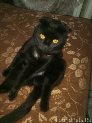 Здравствуйте. Может кто то узн...