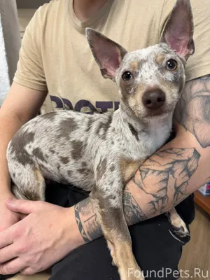 📍ул. Николая Сотникова 21, Кир...