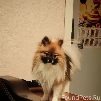 !!!! внимание!!!! В городе Кос...