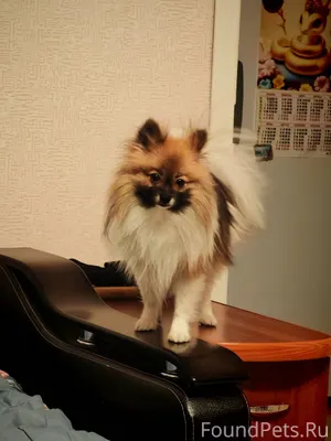 !!! Внимание!!! В городе Косто...