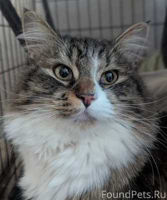 Не устаю поражаться людям , ко...