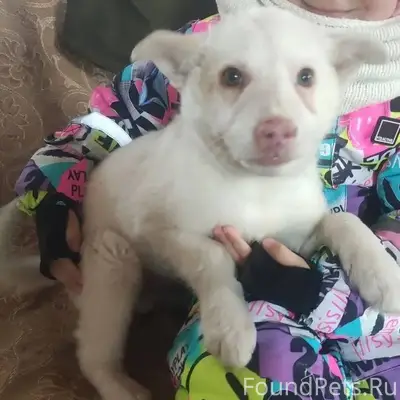 Срочно. Вот она человеческая ж...