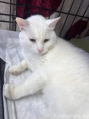 📍📍📍📍📍Очень нужен дом БОГДАНУ, ...