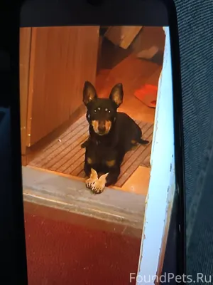 ‼️‼️‼️ВНИМАНИЕ РОЗЫСК‼️‼️‼️ Пр...