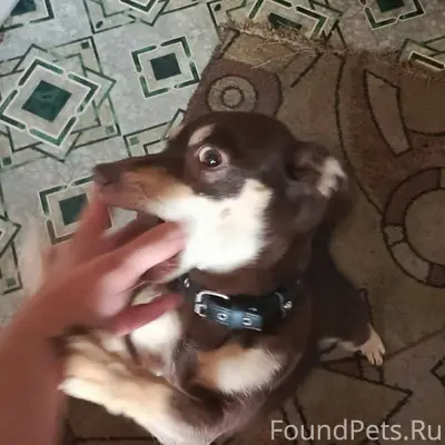 #Черныйсписок #Ржев ‼️‼️‼️Поте...