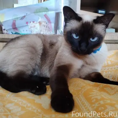 Пожалуйста опубликуйте 🙏 ПРОПА...