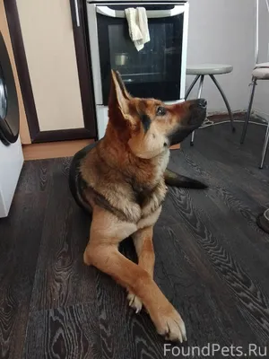 Г. Ижевск. Найдена молодая дев...