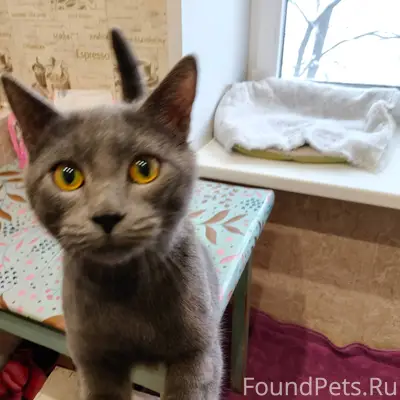 В Индустриальном районе, во дв...