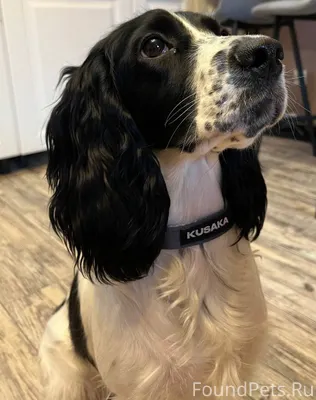 📍ул. Зорге, Кировский район Уб...