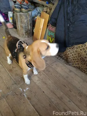 08.02 в СНТ "Нива" 11...