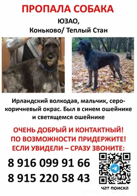 Традиционно прошу репост: ЮЗАО...