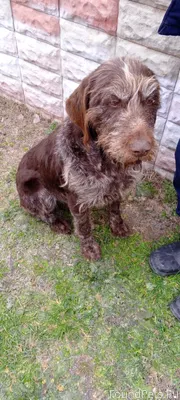 Добрый вечер. Просьба опублико...