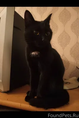 Поздним вечером на улице найде...