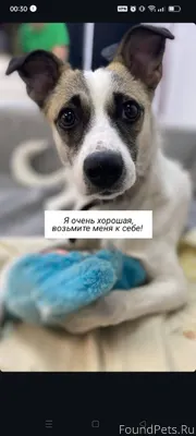 Помогаю информационно! Найдена...