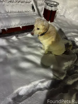 В парке между Вышка-1 и...