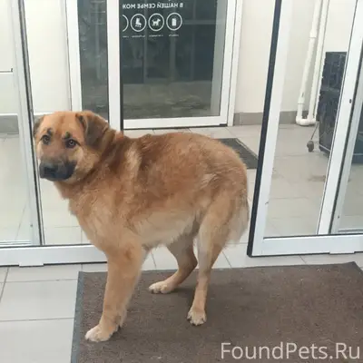 Пос. Солнечный! Вот такой маль...