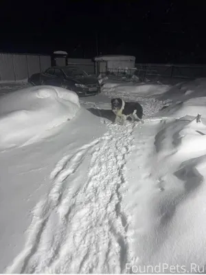 Собираюсь в посёлок Визябож, ч...