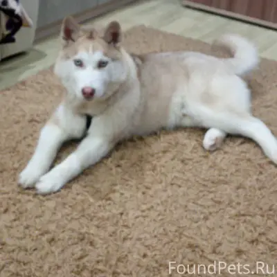 ❗️УЛЬЯНОВСК, друзья, сделайте ...