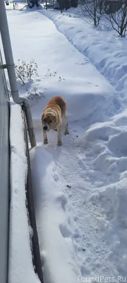 Добрый день! В селе Локотня не...