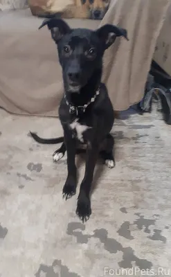 Помогите найти старых или новы...