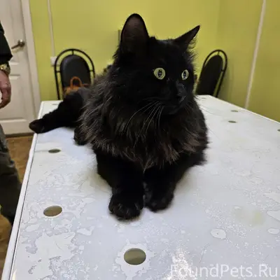 Добрый день! На ул. Поэта Нозд...