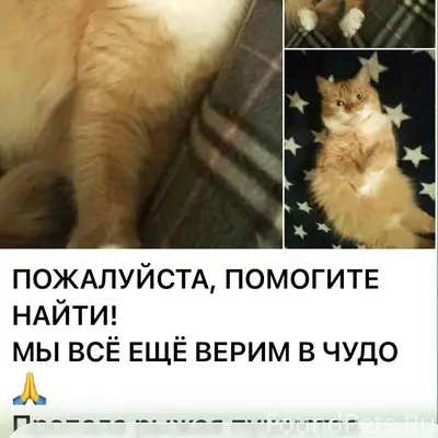 ПОЖАЛУЙСТА, ПОМОГИТЕ НАЙТИ! МЫ...