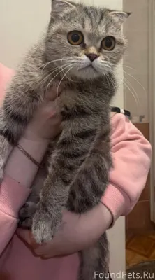 ПОМОГАЮ ИНФОРМАЦИОННО! САРАНСК...