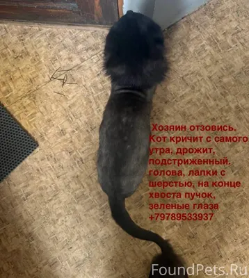 Добрый день, помогите найти хо...