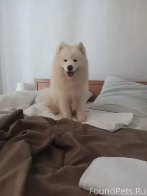 Ленинский район . Шунды . Троп...