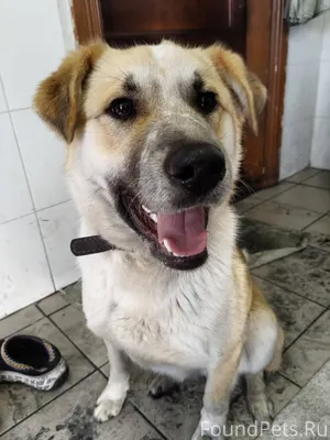 📢📢📢 Тула! Привокзальный район!...