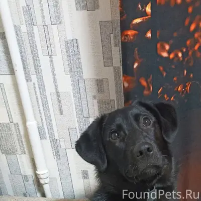 Ребята, очень нужна ваша помощ...