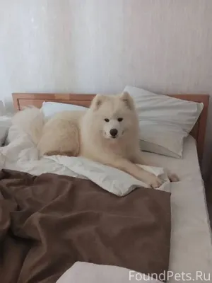 Ленинский район . Шунды . Троп...