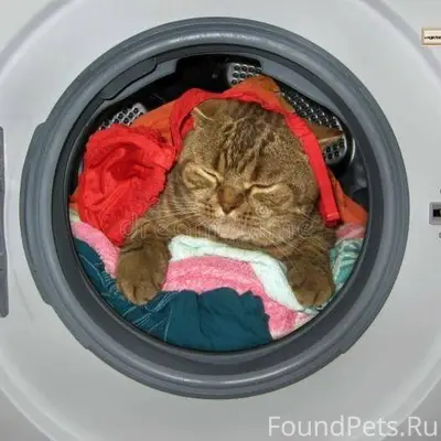 Обожаю рассказы со счастливым ...