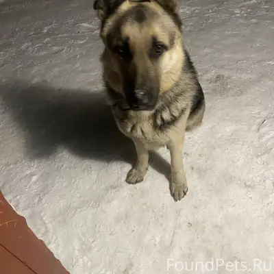 Коломна Дзержинского 8/2 Может...