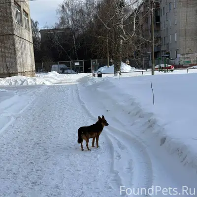 На улице Интернациональной (Ж/...