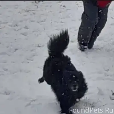 Семилуки!!! Помогите найти!! П...