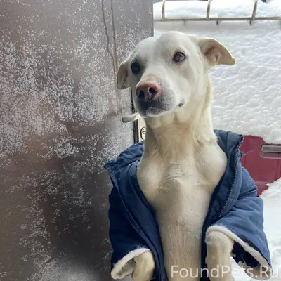 08 февраля 2026 года около 17....