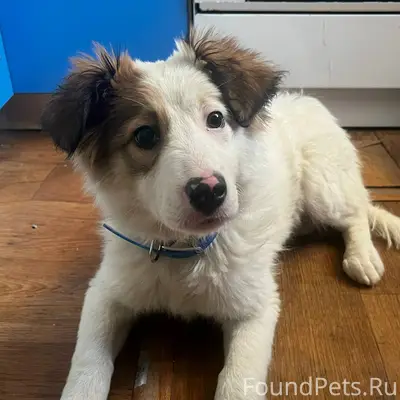 09.02.26 в 11:20...