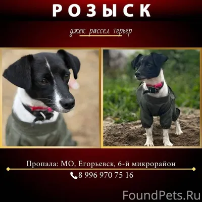 📣 ЕГОРЬЕВСК МО 📣 📣 🆘...