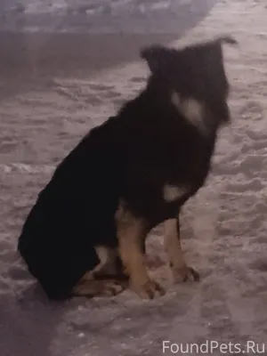 📍Дзержинский район Появился пё...