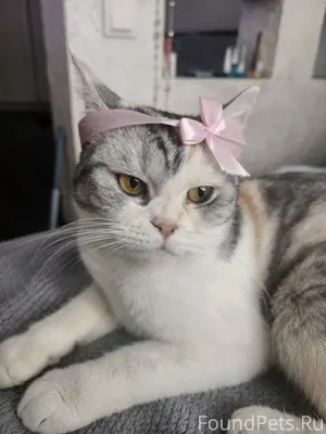 28.01.2026 г. в Музыкальном...