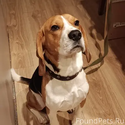 Пропал Джек, район Перебор