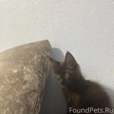 Пропал Мей-Кун, район Якитории