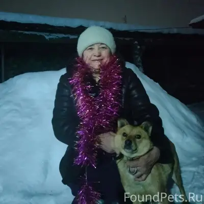 Пропала небольшая собака, с. Учалы