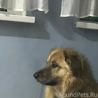 Пропал Фарик, Советский район